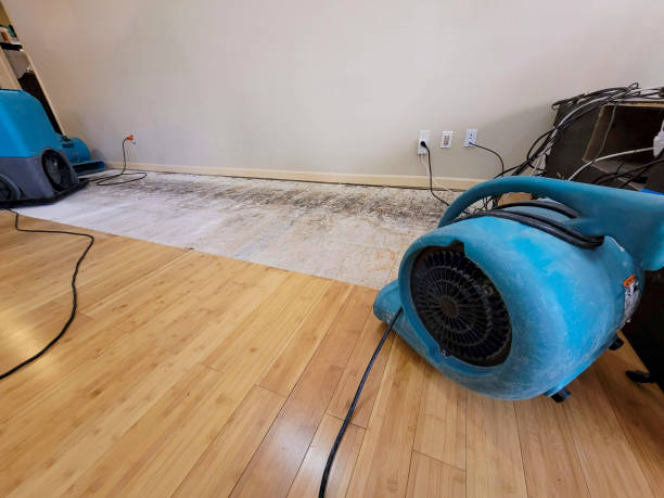 Reliable Basement Flood Cleanup contractor in Vinton, OH by Hirex Water Damage