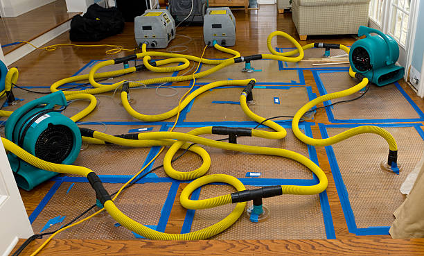 Professional Basement Flood Cleanup technician working in Vinton, OH